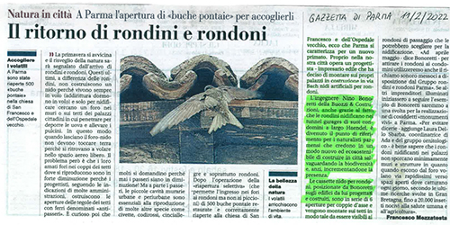 Articolo Gazzetta Pr 11 P