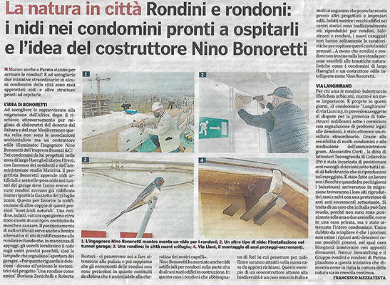 articolo rondini icon2